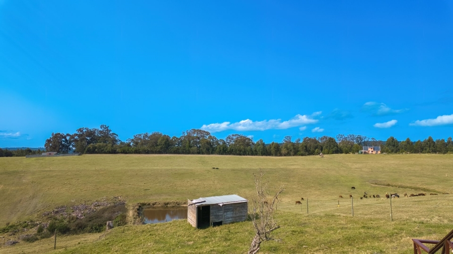 Commercial Property for Sale in Sedgefield Rural Western Cape
